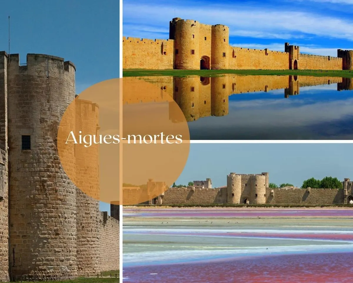 Le Thiers - Hypercentre - Wifi - Air Conditioning Avignon Apartment